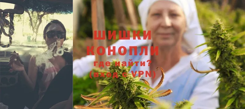 купить наркоту  Каменка  Бошки Шишки White Widow 